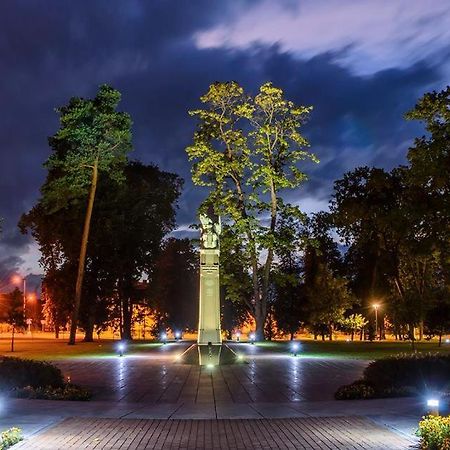 Marijampole Apartment With Free Parking Εξωτερικό φωτογραφία