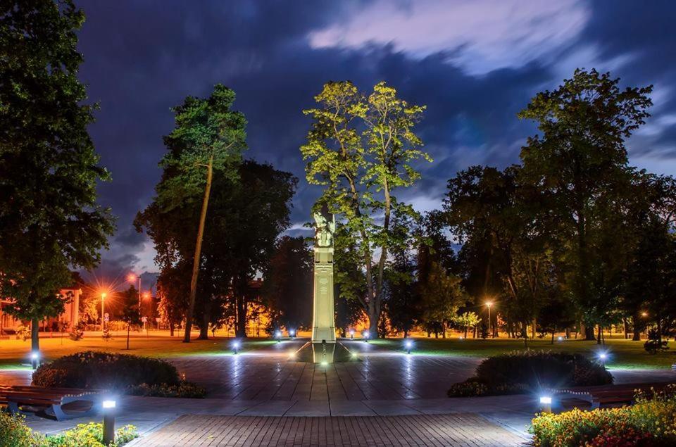 Marijampole Apartment With Free Parking Εξωτερικό φωτογραφία